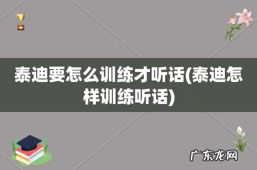 泰迪怎样训练听话 泰迪要怎么训练才听话