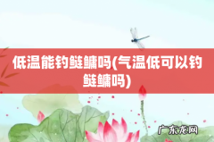 气温低可以钓鲢鳙吗 低温能钓鲢鳙吗