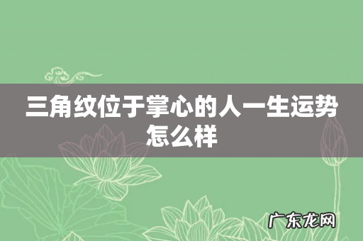 三角纹位于掌心的人一生运势怎么样