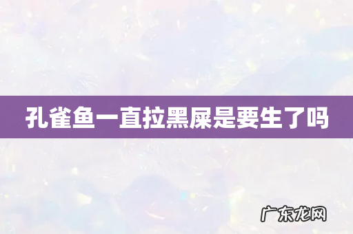孔雀鱼一直拉黑屎是要生了吗