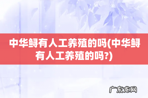 中华鲟有人工养殖的吗? 中华鲟有人工养殖的吗