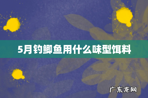 5月钓鲫鱼用什么味型饵料