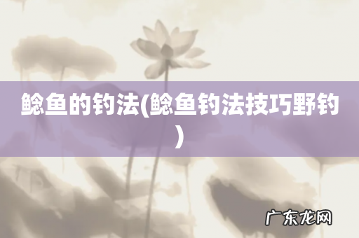 鲶鱼钓法技巧野钓 鲶鱼的钓法