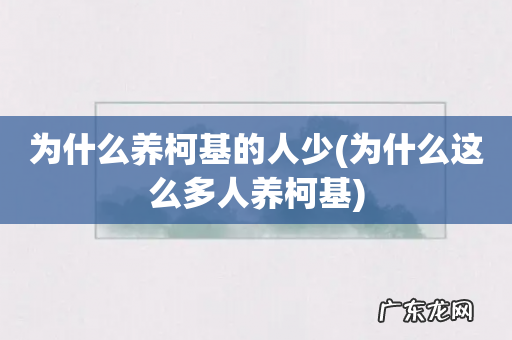 为什么这么多人养柯基 为什么养柯基的人少