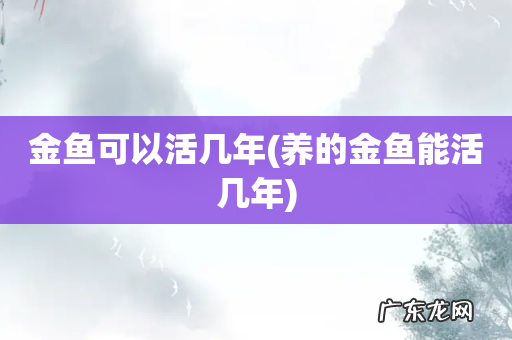 养的金鱼能活几年 金鱼可以活几年