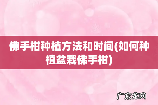 如何种植盆栽佛手柑 佛手柑种植方法和时间