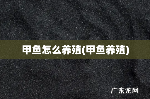 甲鱼养殖 甲鱼怎么养殖