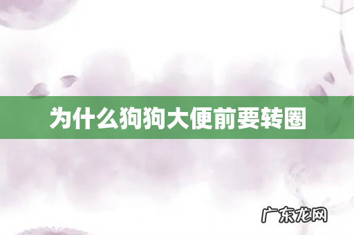 为什么狗狗大便前要转圈