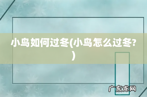 小鸟怎么过冬? 小鸟如何过冬