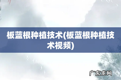 板蓝根种植技术视频 板蓝根种植技术