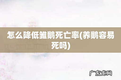 养鹅容易死吗 怎么降低雏鹅死亡率
