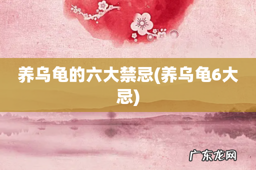 养乌龟6大忌 养乌龟的六大禁忌