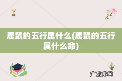 属鼠的五行属什么命 属鼠的五行属什么