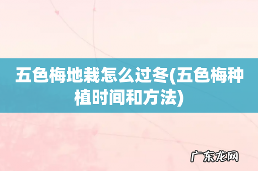 五色梅种植时间和方法 五色梅地栽怎么过冬