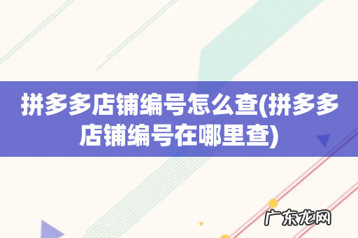 拼多多店铺编号在哪里查 拼多多店铺编号怎么查