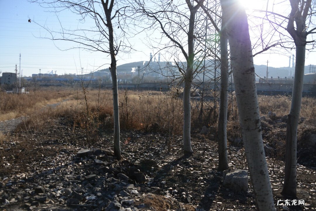 湖南风水宝地在哪里 湖南崔氏风水宝地