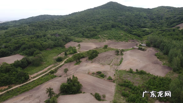 吉林市风水大师哪个好 吉林市风水大师