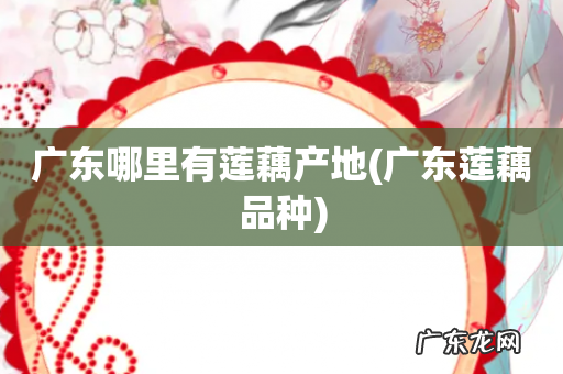 广东莲藕品种 广东哪里有莲藕产地