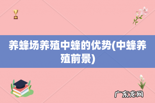 中蜂养殖前景 养蜂场养殖中蜂的优势