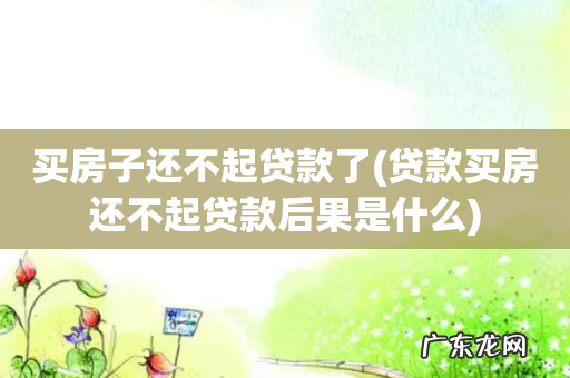 贷款买房还不起贷款后果是什么 买房子还不起贷款了