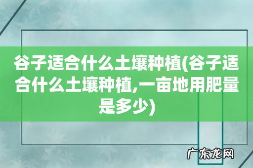 谷子适合什么土壤种植,一亩地用肥量是多少 谷子适合什么土壤种植