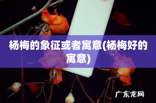 杨梅好的寓意 杨梅的象征或者寓意