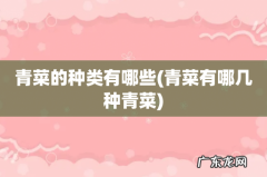 青菜有哪几种青菜 青菜的种类有哪些