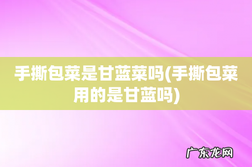 手撕包菜用的是甘蓝吗 手撕包菜是甘蓝菜吗