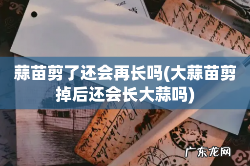 大蒜苗剪掉后还会长大蒜吗 蒜苗剪了还会再长吗