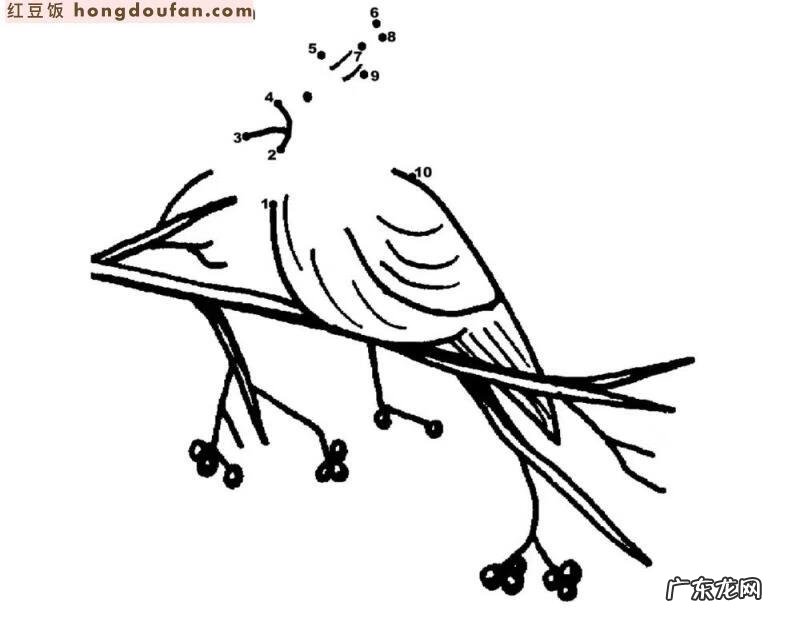 找数字图片游戏 找数字的小游戏