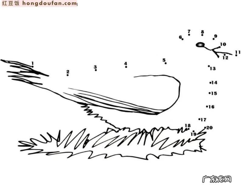 找数字图片游戏 找数字的小游戏