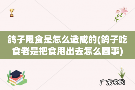 鸽子吃食老是把食甩出去怎么回事 鸽子甩食是怎么造成的