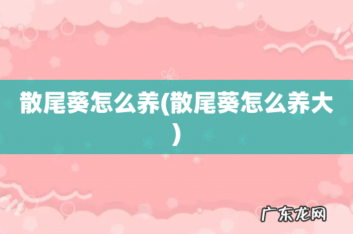 散尾葵怎么养大 散尾葵怎么养