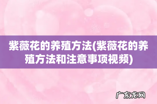 紫薇花的养殖方法和注意事项视频 紫薇花的养殖方法
