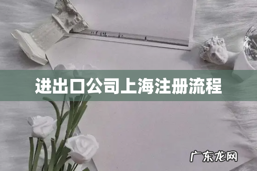 进出口公司上海注册流程