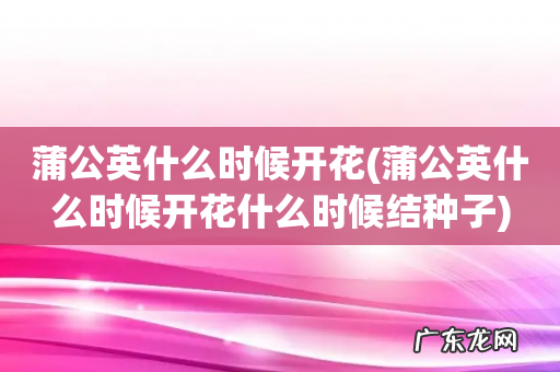 蒲公英什么时候开花什么时候结种子 蒲公英什么时候开花