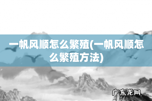 一帆风顺怎么繁殖方法 一帆风顺怎么繁殖