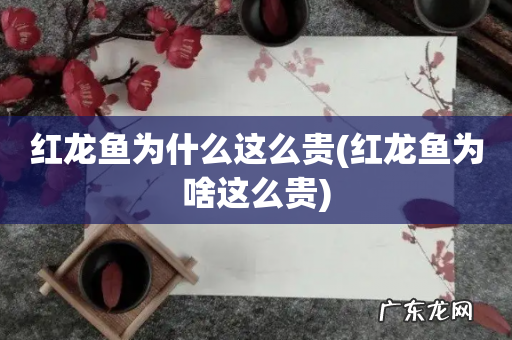 红龙鱼为啥这么贵 红龙鱼为什么这么贵