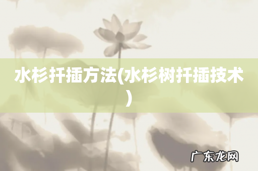 水杉树扦插技术 水杉扦插方法