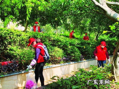 种驱蚊草有用吗 驱蚊草有效果么