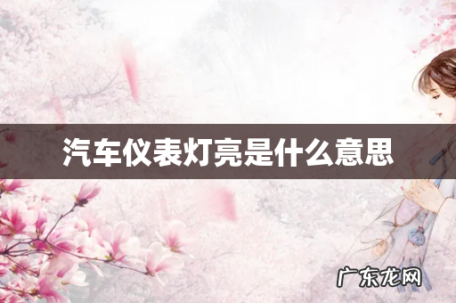 汽车仪表灯亮是什么意思