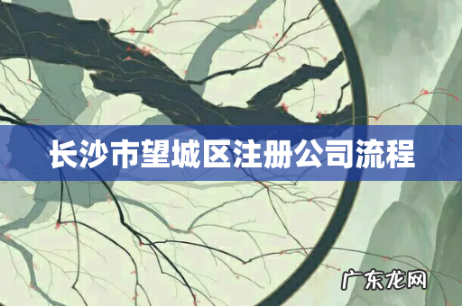 长沙市望城区注册公司流程