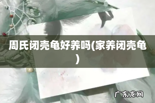 家养闭壳龟 周氏闭壳龟好养吗