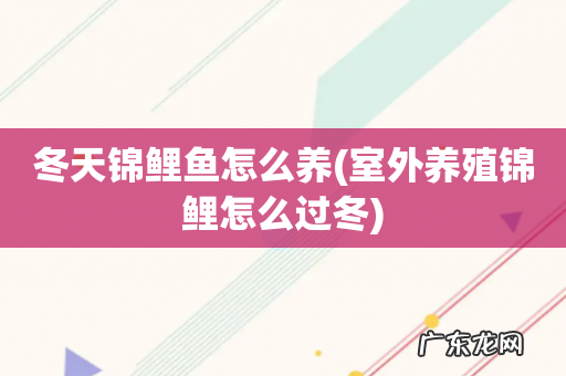 室外养殖锦鲤怎么过冬 冬天锦鲤鱼怎么养