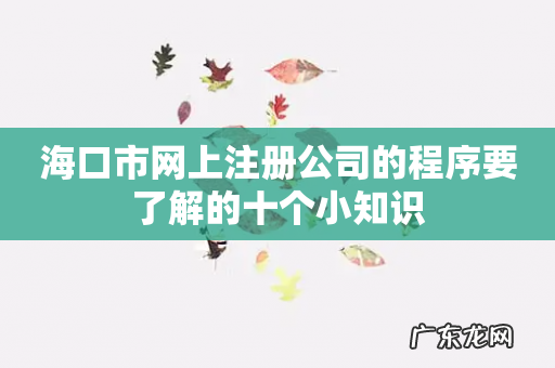 海口市网上注册公司的程序要了解的十个小知识