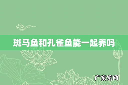 斑马鱼和孔雀鱼能一起养吗