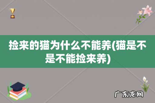猫是不是不能捡来养 捡来的猫为什么不能养