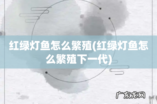 红绿灯鱼怎么繁殖下一代 红绿灯鱼怎么繁殖