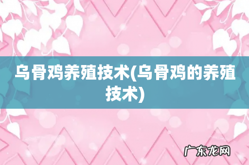 乌骨鸡的养殖技术 乌骨鸡养殖技术