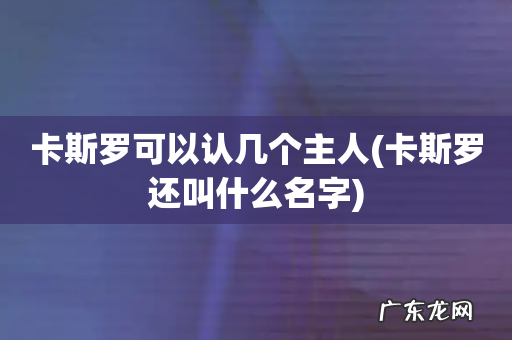 卡斯罗还叫什么名字 卡斯罗可以认几个主人